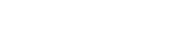 贝狐狸